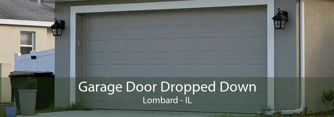 Garage Door Dropped Down Lombard - IL