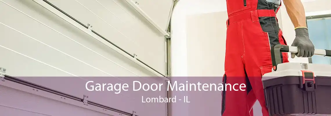 Garage Door Maintenance Lombard - IL