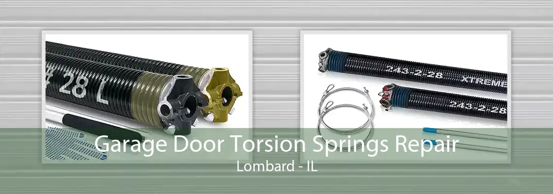 Garage Door Torsion Springs Repair Lombard - IL