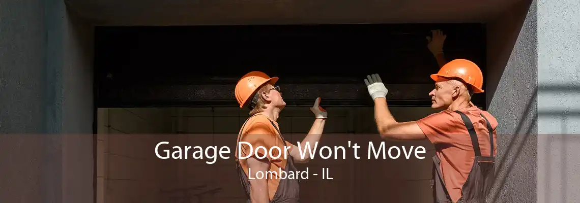 Garage Door Won't Move Lombard - IL